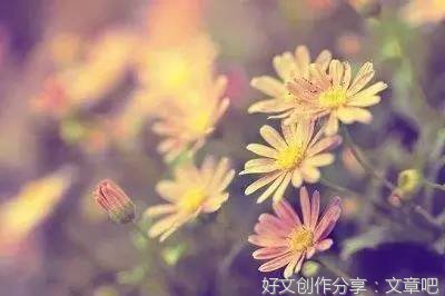 年龄（深度好文）