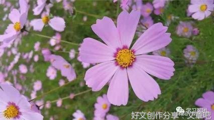  到了一定年纪，拼的是扛事能力和自愈能力