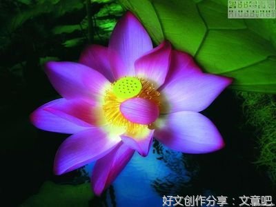 念别人的好，修自己的心