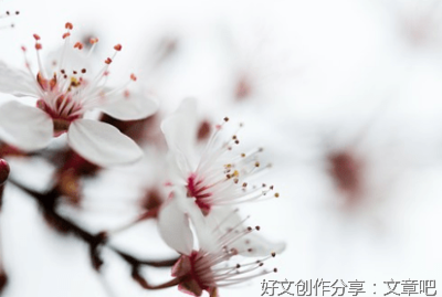  温情微小说：误会