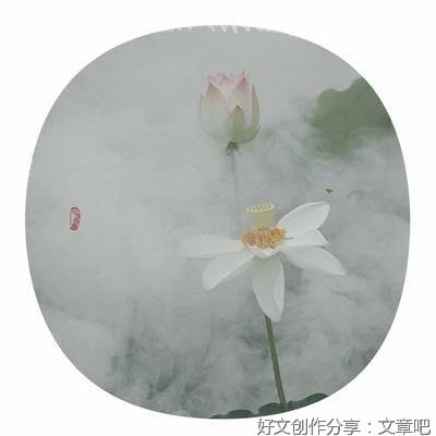 蝉始鸣，半夏生，万物繁茂时！