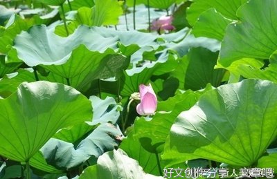 你嫁什么性格的老公，孩子就什么命
