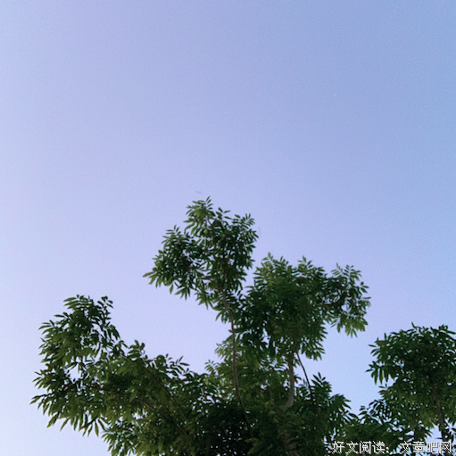 不要把本该属于自己的选择权，交给别人