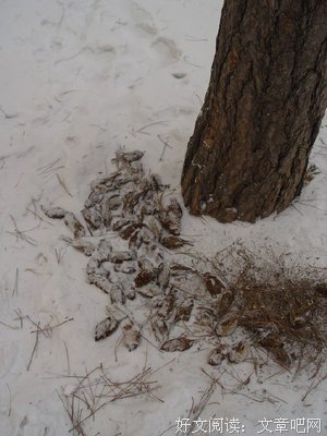 忍不了，己无知