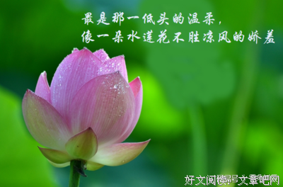  沙扬娜拉“汪伦”