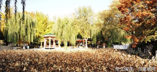 大连，石家庄，平安