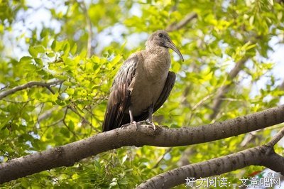  你向我扑来，慢慢地