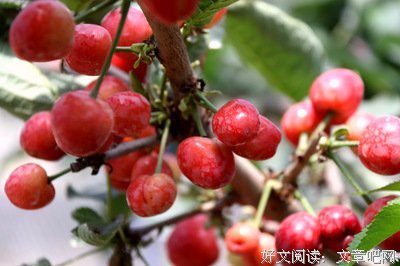 何必比较？