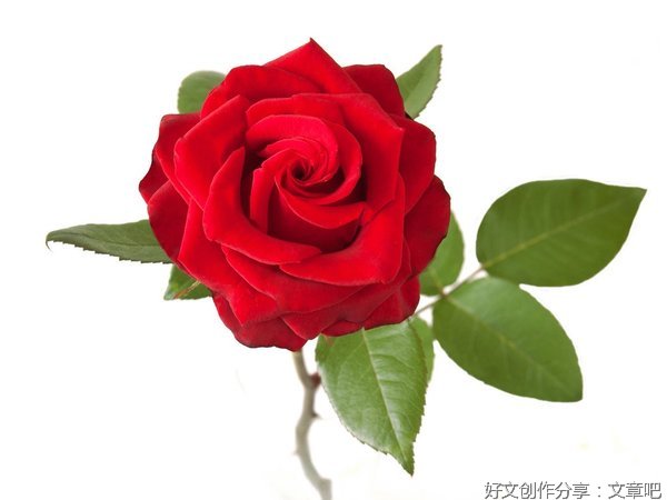 《长津湖》—第一千零一个想法
