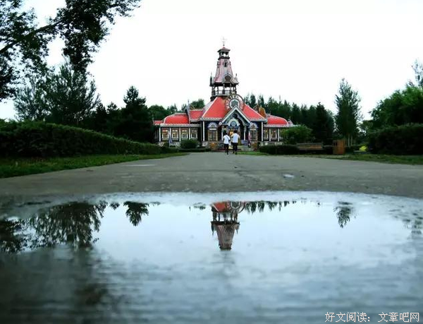 树是有灵魂的，不信你看白桦树的眼睛