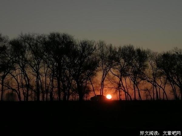 理性难解哀与怒，忐忑不知去和留