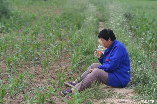 我的贤妻，长就一副男人相