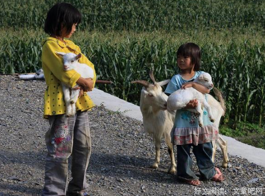 乡村的味在路上，路夹在院子房子间