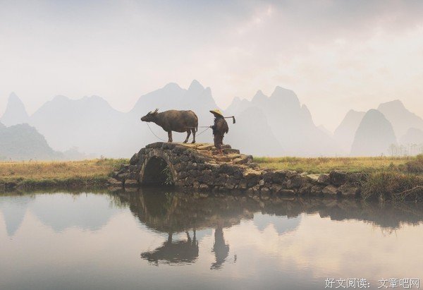 一头老牛，在清水中，看见了奇异的景象