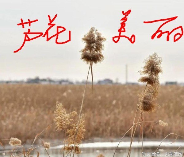 人们总是对别人的日常感到新奇，却让别人觉得颇为无聊