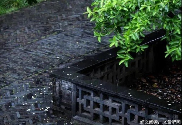 我总是在清晨听雨，深夜在雷鸣电闪里醒来。