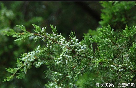 悄悄努力，只待时机成熟，惊艳所有人