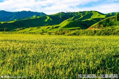 鬼斧神工博乐怪石峪