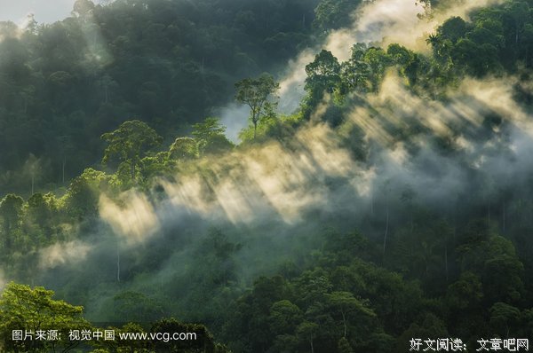 活如阳光之灿烂，生如绿草之茵美