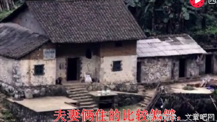 都说狼是凶狠的动物，但是爱子之情与人一样……