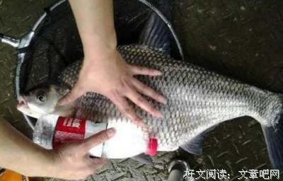 说说夏季钓鱼的那些事和经验