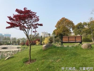 朋友说，自己不怕别的，最怕岁月无情，年华老去