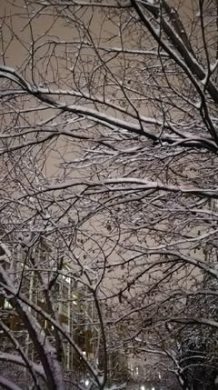 每个人都要善于护持自己的生命，这是作为一个人起码的本能和最基