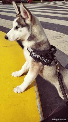 幸福一定不是拥有的特别多，而是我们总能明白什么时候该知足