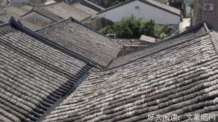 就让它花开千年，看苍海桑田