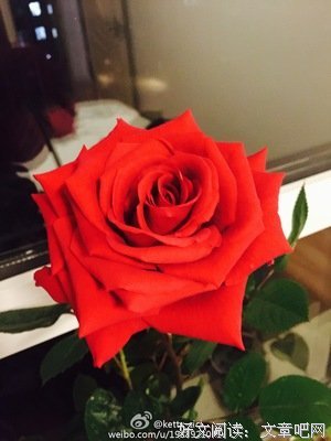  还是那句话，婚姻不易，且行且惜