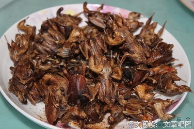 今天大年初二本来准备回娘家走亲戚的