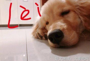 复工前的那些事