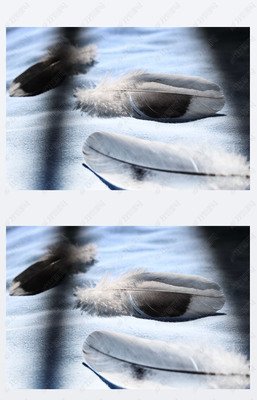 三根羽毛