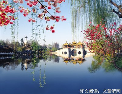 岸柳轻纱映日晖，情侣双双入翠微