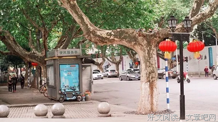 老报亭