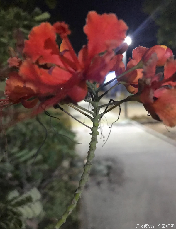 带着一颗平静的心，化作旅人再次踏上了旅途