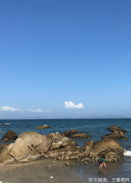 珍惜你而从容