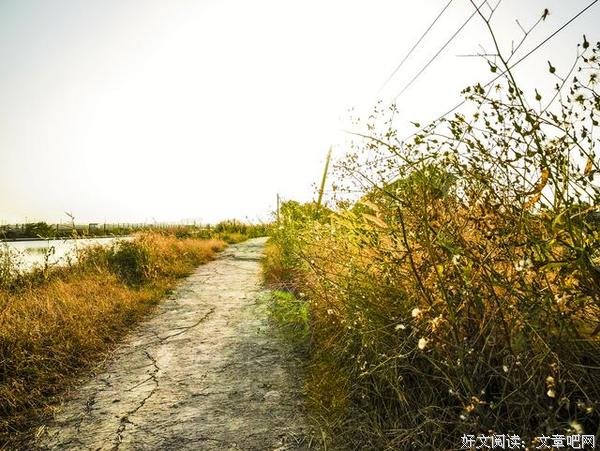 无需为家国赴死的时代，我们还有初心吗？