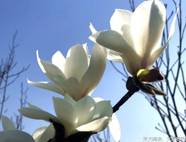 “花花世界”寻春天