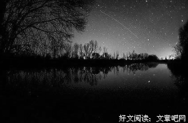 人狐恩怨