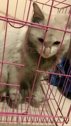 无论如何，我们每个人最后的归宿还是家庭