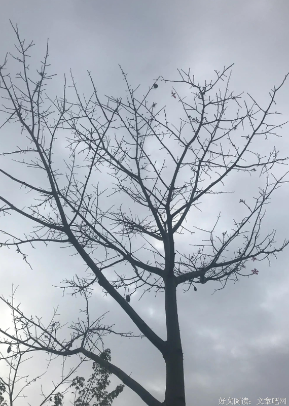 频年学圃休相笑，千古英雄亦荷锄
