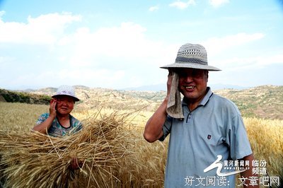 有人问，为何现在农民大多不种两季粮而改种一季粮呢？