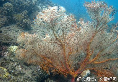如果说父亲是大山，那么，孩子就是山间的河流，奔腾不息