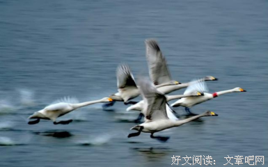 自卑妹子的心声：“对不起，是我太失败了！”