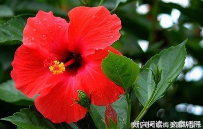 追求女人，问她这三个问题，一般男人都很容易失败