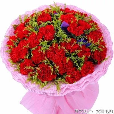 我想你了——母亲