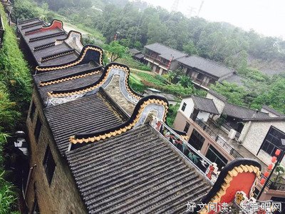 我甘绿叶，在底层拿个满意的工资就行了