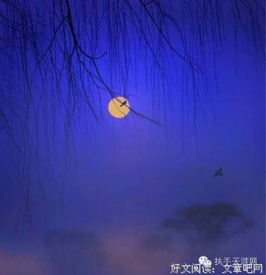 也许是上天安排，他们今生就会相遇