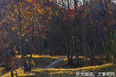 能够两情相悦，一定能迎来幸福的日子